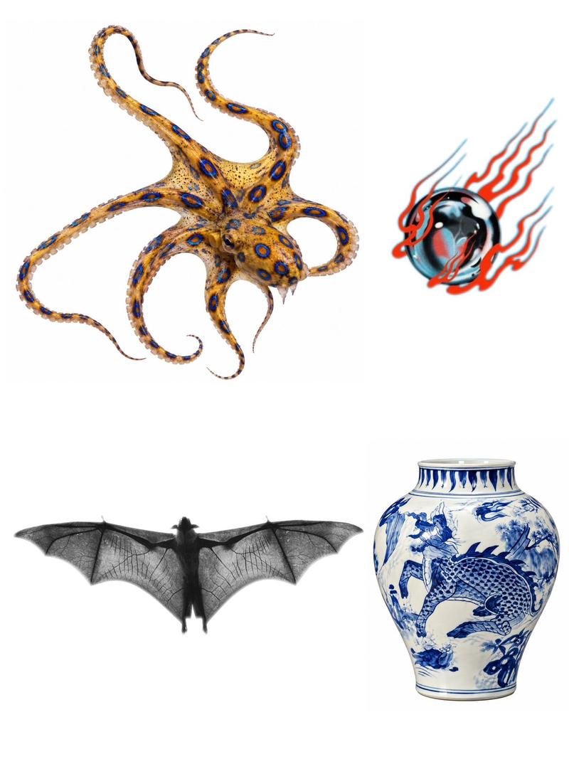 Flash sheet: a blue-ringed octopus, a dark orb with red flames, a bat with spread wings and a blue and white decorated vase