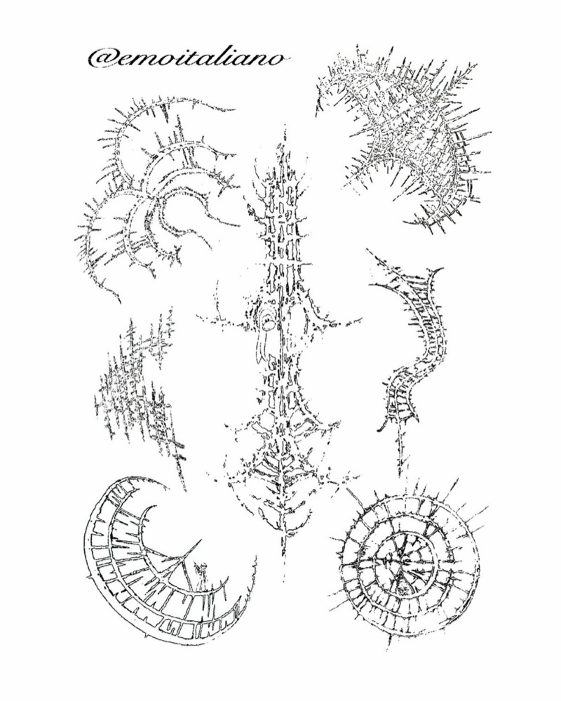 Flash sheet: scratchy fine-line designs in black: curling thorned arcs, a tall spine-like centrepiece, a thorned S-shaped band, and two segmented rings, one a crescent and one round